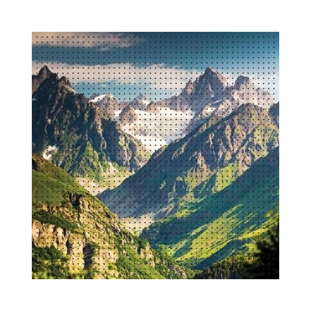 Accuform PRINTED PEGBOARD SPRING CAMO PDG402 PDG402